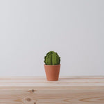 Mini Barrel Verde Cactus